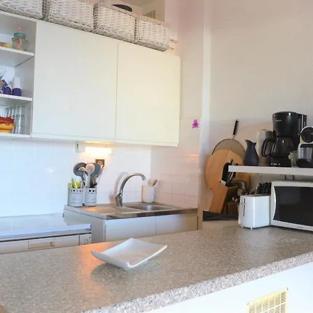 Apartment Studio Climatise Avec Terrasse Et Parking A 350m De La Plage - Fr-1-251-306 *